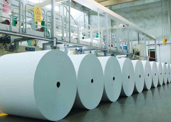 Paper Industry