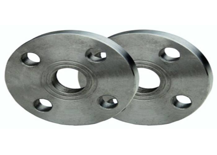 BS Flanges Manufacturer